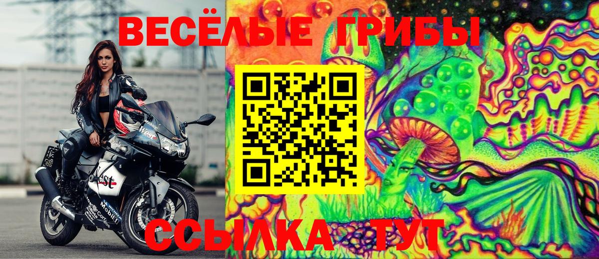 Вологда  Псилоцибиновые грибы мухоморы  Вход с VPN 