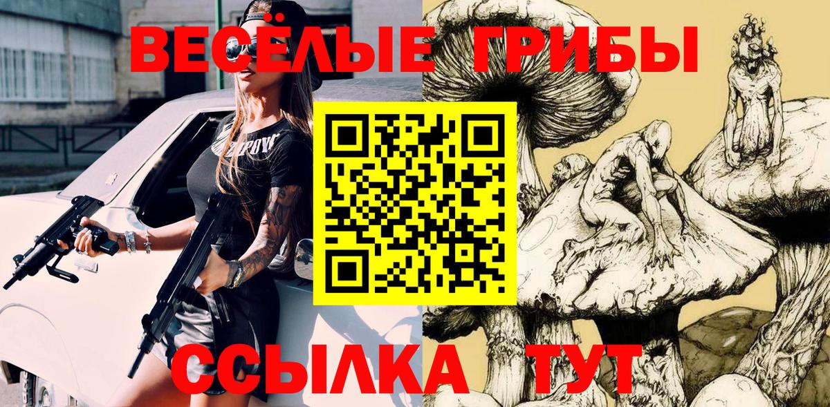 Псилоцибиновые грибы Cubensis Вологда